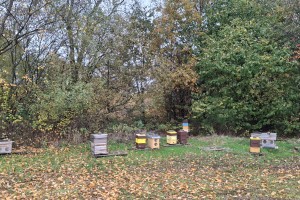 herfst
