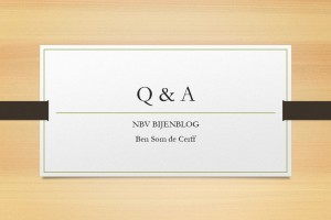 Q & A
