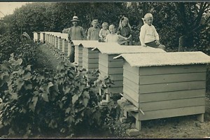 denemarken